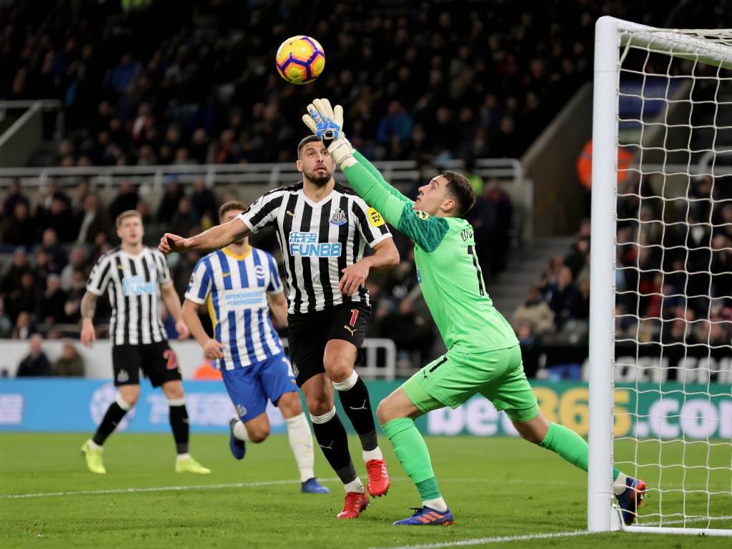 从清晨的泳 从清晨的泳